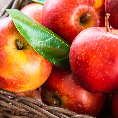 comparing apples to apples benchmarks to predict outcome