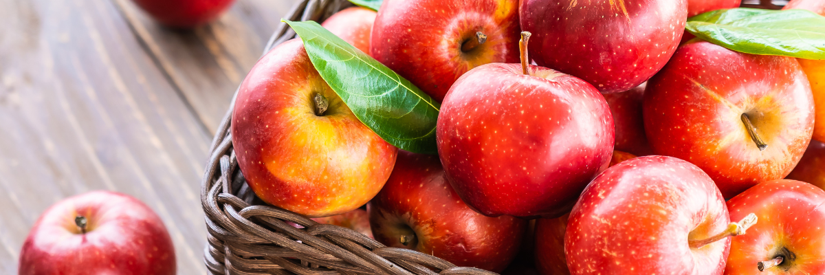 comparing apples to apples benchmarks to predict outcome