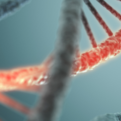 male and female pattern hair loss gene driven but not your genetic fate