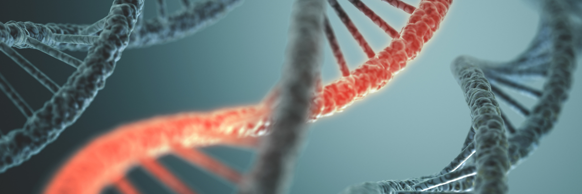 male and female pattern hair loss gene driven but not your genetic fate