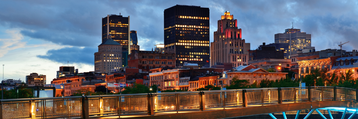 ishrs hosts 16th annual scientific meeting in montreal, september 3 7, 2008