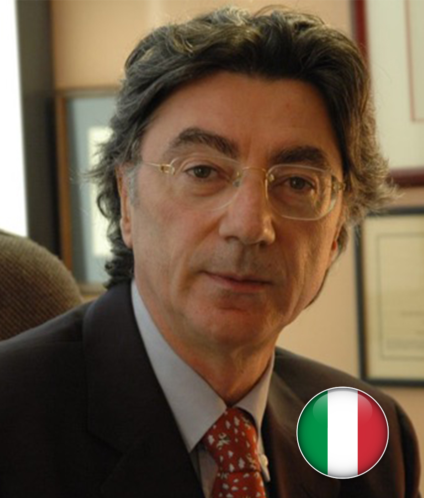 gambino vincenzo
