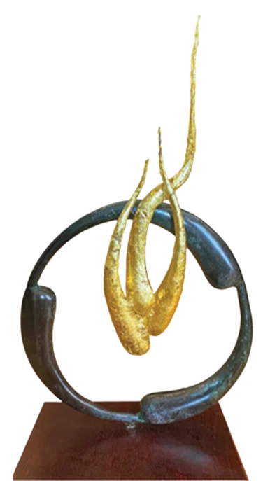 lifetime ach award transparent